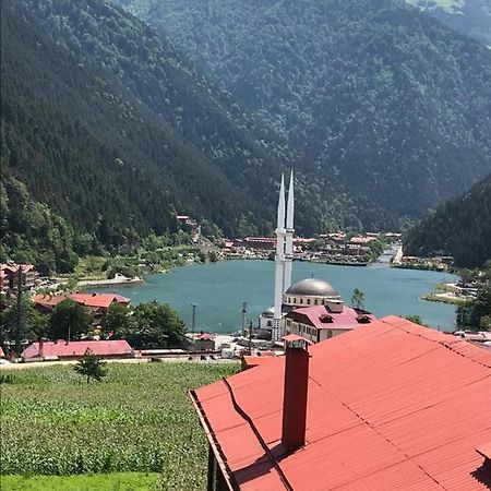 Karenes Kuzey Pansiyon Caykara Εξωτερικό φωτογραφία